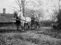 1920, Fortepan, horse, carriage, autumn, coach, mud, teamster, Fortepan #6318