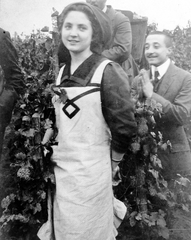 1920, Fortepan, harvest, fun, grape, woman, posture, apron, wooden butte, Fortepan #6352