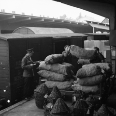 Magyarország, Budapest VI., Nyugati pályaudvar területe a Ferdinánd (Élmunkás) hídnál, fedett rakodó (ponk)., 1964, Magyar Rendőr, MÁV, zsák, demizson, rakodás, Budapest, Fortepan #65091