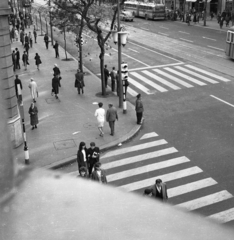 Magyarország, Budapest V.,Budapest XIII., Szent István körút a Honvéd utca torkolatánál., 1965, Magyar Rendőr, Budapest, gyalogátkelő, Fortepan #65219