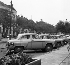 Magyarország, Békéscsaba, Szent István tér a Szabadság tér felé nézve., 1965, Magyar Rendőr, fa, lámpaoszlop, automobil, kerékpár, Moszkvics 403, Fortepan #65225