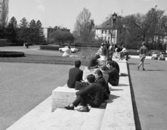 Magyarország, Debrecen, Egyetem tér, lépcső az egyetem központi épülete előtt., 1966, Magyar Rendőr, Fortepan #65311