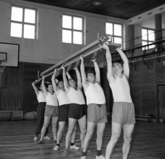 Magyarország, Veszprém, Városi Sportcsarnok., 1966, Magyar Rendőr, tornasor, fej fölé emelés, libasor, Fortepan #65320