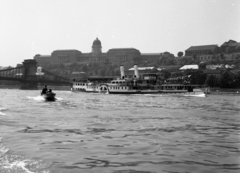 Magyarország, Budapest I., Felszabadulás gőzhajó a Dunán, háttérben a Széchenyi Lánchíd és a Budavári Palota (korábban Királyi Palota)., 1966, Magyar Rendőr, hajó, motorcsónak, gőzhajó, Duna, lapátkerekes hajó, Szőke Tisza II./ Felszabadulás/ Szent Imre/ Sas/ IV. Károly hajó, Budapest, függőhíd, William Tierney Clark-terv, Fortepan #65355