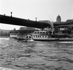 Magyarország, Budapest I., Felszabadulás gőzhajó a Széchenyi Lánchíd alatt, háttérben a Budavári Palota (korábban Királyi Palota) a Dunáról nézve., 1966, Magyar Rendőr, hajó, gőzhajó, lapátkerekes hajó, Szőke Tisza II./ Felszabadulás/ Szent Imre/ Sas/ IV. Károly hajó, Budapest, Fortepan #65356