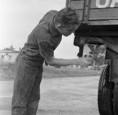 Magyarország, 1966, Magyar Rendőr, Fortepan #65368