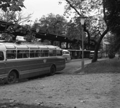 Magyarország, Budapest V., Erzsébet (Engels) tér, MÁVAUT autóbusz-pályaudvar., 1966, Magyar Rendőr, autóbusz, Ikarus-márka, MÁVAUT-szervezet, Ikarus 55, lámpaoszlop, neon lámpa, buszpályaudvar, Budapest, tetőcsomagtartó, Nyiri István-terv, Fortepan #65447