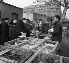 Magyarország, Budapest XIII., Lehel (Élmunkás) téri piac, háttérben a Bulcsú utca - Kassák Lajos utca (Fóti út) sarok., 1968, Magyar Rendőr, baromfi, Budapest, Fortepan #65600