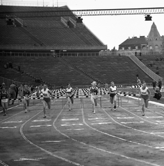 Magyarország, Népstadion, Budapest XIV., 1968, Magyar Rendőr, rajtszám, Budapest, Fortepan #65677