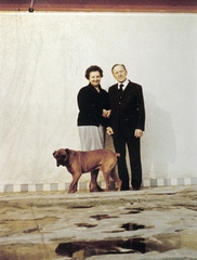 1985, Fortepan, colorful, dog, man and woman, Fortepan #6588