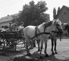 Magyarország, Ócsa, Bajcsy-Zsiilinszky utca, a háttérben jobb szélen a 7-es számú ház., 1972, Magyar Rendőr, lovaskocsi, Fortepan #65923