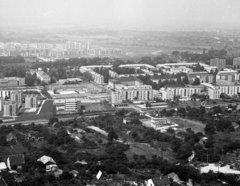 Hungary, Tata-Tóváros, kilátás a Kő-hegyről az Újvárosi lakótelep felé., 1975, Magyar Rendőr, blocks, view, Fortepan #66103