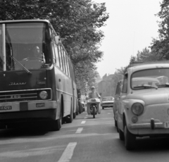 Hungary, Budapest VIII.,Budapest VII., Rákóczi út, a háttérben jobbra a Rókus Kórház., 1975, Magyar Rendőr, bus, motorcycle, Ikarus-brand, cop, number plate, Budapest, Fortepan #66122