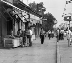 Hungary, Budapest XVIII., Üllői út (Vörös Hadsereg útja), a Szarvas csárda tér és a Ráday Gedeon utca közötti házsor., 1975, Magyar Rendőr, watch, cop, phone booth, tram stop, greengrocer, fruit seller, Budapest, Fortepan #66131