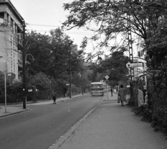 Hungary, Budapest II., Fillér utca a Garas utcánál., 1975, Magyar Rendőr, bus, Ikarus-brand, bus stop, Budapest, Fortepan #66148