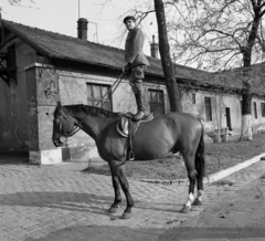 Hungary, Budapest VIII., a Mosonyi utcai rendőrség udvara a Festetics György utcai kapu közelében., 1975, Magyar Rendőr, Budapest, Fortepan #66166