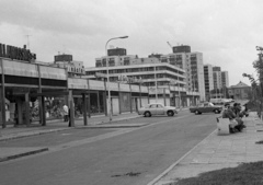 Hungary, Budapest XIX., Üllői út (Vörös Hadsereg útja), üzletsor a Hunyadi utca és az Arany János utca között., 1976, Magyar Rendőr, blocks, florist, Budapest, Fortepan #66269