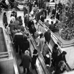 Hungary, Budapest XI., Október huszonharmadika (Schönherz Zoltán) utca, Skála Budapest Szövetkezeti Nagyáruház., 1976, Magyar Rendőr, moving escalator, escalator, Budapest, Skála department store, Fortepan #66309