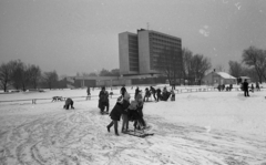 Magyarország,Balaton, Keszthely, a befagyott Balaton a Helikon szállónál., 1980, Magyar Rendőr, Fortepan #66421