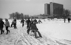 Magyarország,Balaton, Keszthely, a befagyott Balaton a Helikon szállónál., 1980, Magyar Rendőr, fakutya, Fortepan #66422