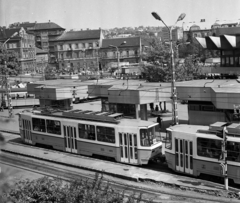 Magyarország, Budapest II., Széll Kálmán (Moszkva) tér., 1980, Magyar Rendőr, villamos, BKV-szervezet, villamosmegálló, Budapest, Tatra T5C5, viszonylatszám, Fortepan #66462