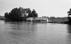 Magyarország, Kiskunlacháza, Ráckevei (Soroksári)-Duna., 1980, Magyar Rendőr, járműroncs, nádas, Ifjúgárda/V. hajó, hajóroncs, Fortepan #66501