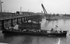 Magyarország, Margitsziget, Budapest XIII., a Clark Ádám úszódaru az Árpád híd szélesítési munkálatainál a pesti hídfő közelében., 1981, Magyar Rendőr, Budapest, Duna-híd, Sávoly Pál-terv, Kossalka János-terv, gerenda híd, Károly Széchy-terv, Fortepan #66583