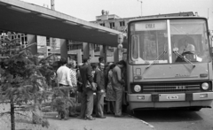 Hungary, Gyula, Vásárhelyi Pál utca, autóbusz-állomás., 1982, Magyar Rendőr, bus, Ikarus-brand, standing in line, number plate, bus stop, Fortepan #66903