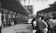 Hungary, Gyula, Vásárhelyi Pál utca, autóbusz-állomás., 1982, Magyar Rendőr, bus, Ikarus-brand, standing in line, bus stop, Fortepan #66904