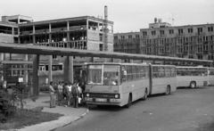 Hungary, Gyula, Vásárhelyi Pál utca, autóbusz-állomás., 1982, Magyar Rendőr, bus, construction, Ikarus-brand, number plate, Volán organisation, bus stop, Fortepan #66905