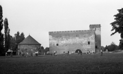 Hungary, Gyula, Vár., 1982, Magyar Rendőr, fort, castle, horse sculpture, brick, Fortepan #66906