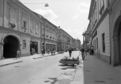 Magyarország, Eger, Széchenyi István (Széchenyi) utca, balra a Rottenstein-Csák-ház, távolban a Líceum., 1982, Magyar Rendőr, járókelő, utcakép, életkép, virágtartó, Fortepan #66971