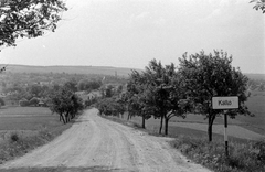 Magyarország, Kálló, a község látképe a Táncsics út felől., 1960, Magyar Rendőr, földút, tájkép, fasor, Fortepan #67377