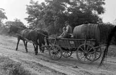 Magyarország, 1961, Magyar Rendőr, lovaskocsi, hordó, Fortepan #67474