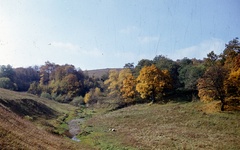 Magyarország, Visegrádi-hegység, Szent László-völgy Pilisszentlászló közelében., 1963, Zsanda Zsolt, Vajszada Károly, színes, fa, bokor, Fortepan #70010