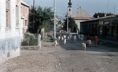 Slovakia, Poltár, ulica Druzby az ulica Obrancov mieru felől nézve, háttérben az evangélikus templom., 1962, Zsanda Zsolt, Vajszada Károly, Czechoslovakia, colorful, goat, Fortepan #70027