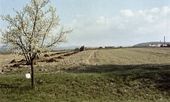 Szlovákia, Poltár, a város látképe dél felől., 1961, Zsanda Zsolt, Vajszada Károly, Csehszlovákia, színes, mező, mezőgazdaság, tavasz, rügyfakadás, Fortepan #70042