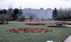 Hungary, Margit Islands, Budapest, háttérben az Újpesti rakpart épületei., 1968, Zsanda Zsolt, Vajszada Károly, colorful, Fortepan #70043