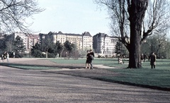 Hungary, Margit Islands, Budapest, háttérben az Újpesti rakpart épületei., 1971, Zsanda Zsolt, Vajszada Károly, colorful, Fortepan #70047