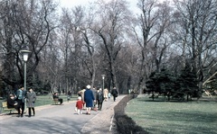 Hungary, Margit Islands, Budapest, 1971, Zsanda Zsolt, Vajszada Károly, colorful, walk, walkway, spring, lamp post, pine, Fortepan #70050