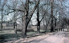 Hungary, Margit Islands, Budapest, 1971, Zsanda Zsolt, Vajszada Károly, colorful, Fortepan #70052