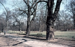 Hungary, Margit Islands, Budapest, 1971, Zsanda Zsolt, Vajszada Károly, colorful, walkway, bench, Szentendre type bench, Fortepan #70053