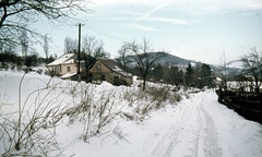 Magyarország, Pilisszentlászló, Dózsa György utca., 1967, Zsanda Zsolt, Vajszada Károly, színes, Fortepan #70087