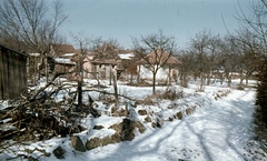 Magyarország, Pilisszentlászló, Petőfi utca., 1967, Zsanda Zsolt, Vajszada Károly, színes, Fortepan #70092