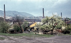 Hungary, Óbuda, Budapest III., az Újlaki téglagyár munkáslakásai a Körte utca és Ágoston utca között, háttérben a téglagyár., 1968, Zsanda Zsolt, Vajszada Károly, colorful, poultry, picture, chimney, blossoming, Budapest, Fortepan #70121