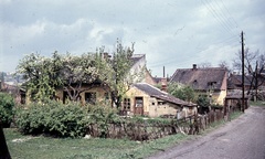 Hungary, Óbuda, Budapest III., utcaköz a Körte utcánál., 1968, Zsanda Zsolt, Vajszada Károly, colorful, street view, dustbin, Budapest, Fortepan #70122