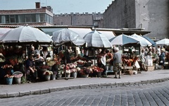 Magyarország, Budapest II., Fény utcai piac, virágárusok a Retek utcai oldalon., 1969, Zsanda Zsolt, Vajszada Károly, színes, napernyő, vödör, virágárus, Budapest, Fortepan #70160