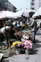 Magyarország, Budapest II., Fény utcai piac, virágárusok a Retek utcai oldalon., 1969, Zsanda Zsolt, Vajszada Károly, színes, napernyő, vödör, virágárus, Budapest, Fortepan #70161