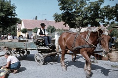 Magyarország, Szentendre, Bükkös part, piac., 1969, Zsanda Zsolt, Vajszada Károly, színes, Fortepan #70196