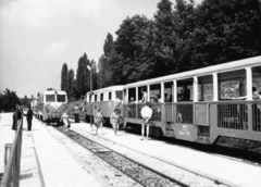 Magyarország, Budapest II., Gyermekvasút (Úttörővasút), Szépjuhászné (Ságvári liget) állomás., 1970, Hegyvidéki Helytörténeti Gyűjtemény, életkép, utas, MK 49 mozdony, Gyermekvasút, Budapest, nagykilátó kocsi, Fortepan #70337